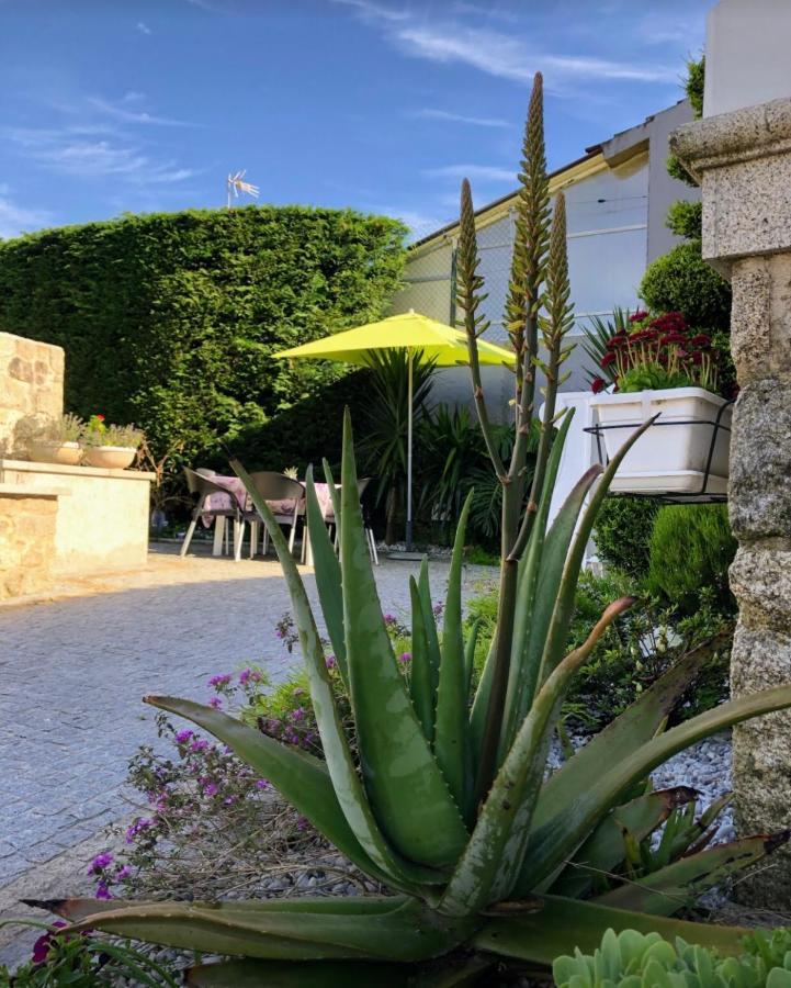 Casa Pedro E Ines Holiday home Viana do Castelo